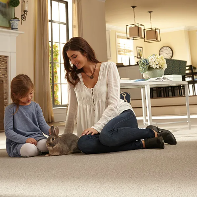 Family friendly carpet in Augusta, GA at Augusta Flooring